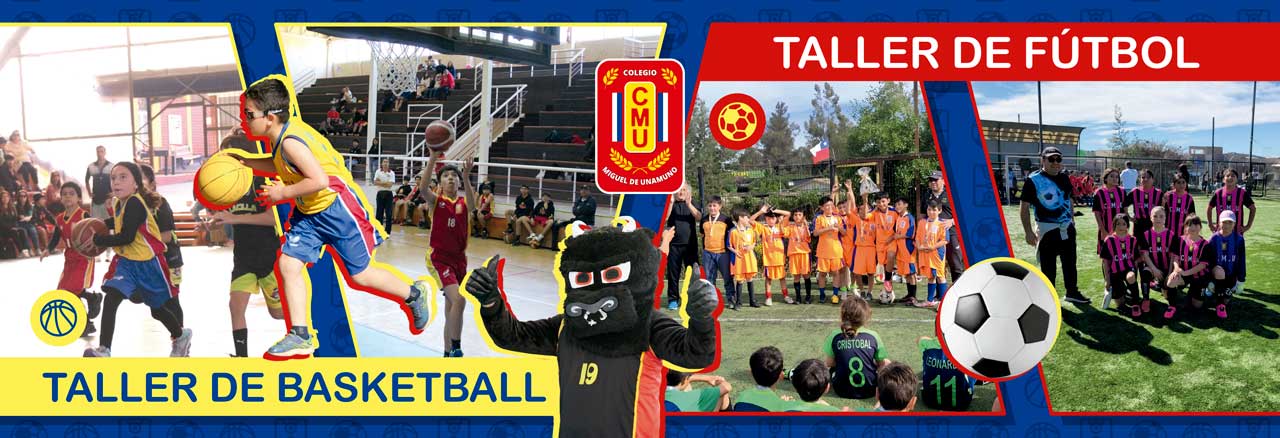 2DA-TELA-BASKET-FUTBOL